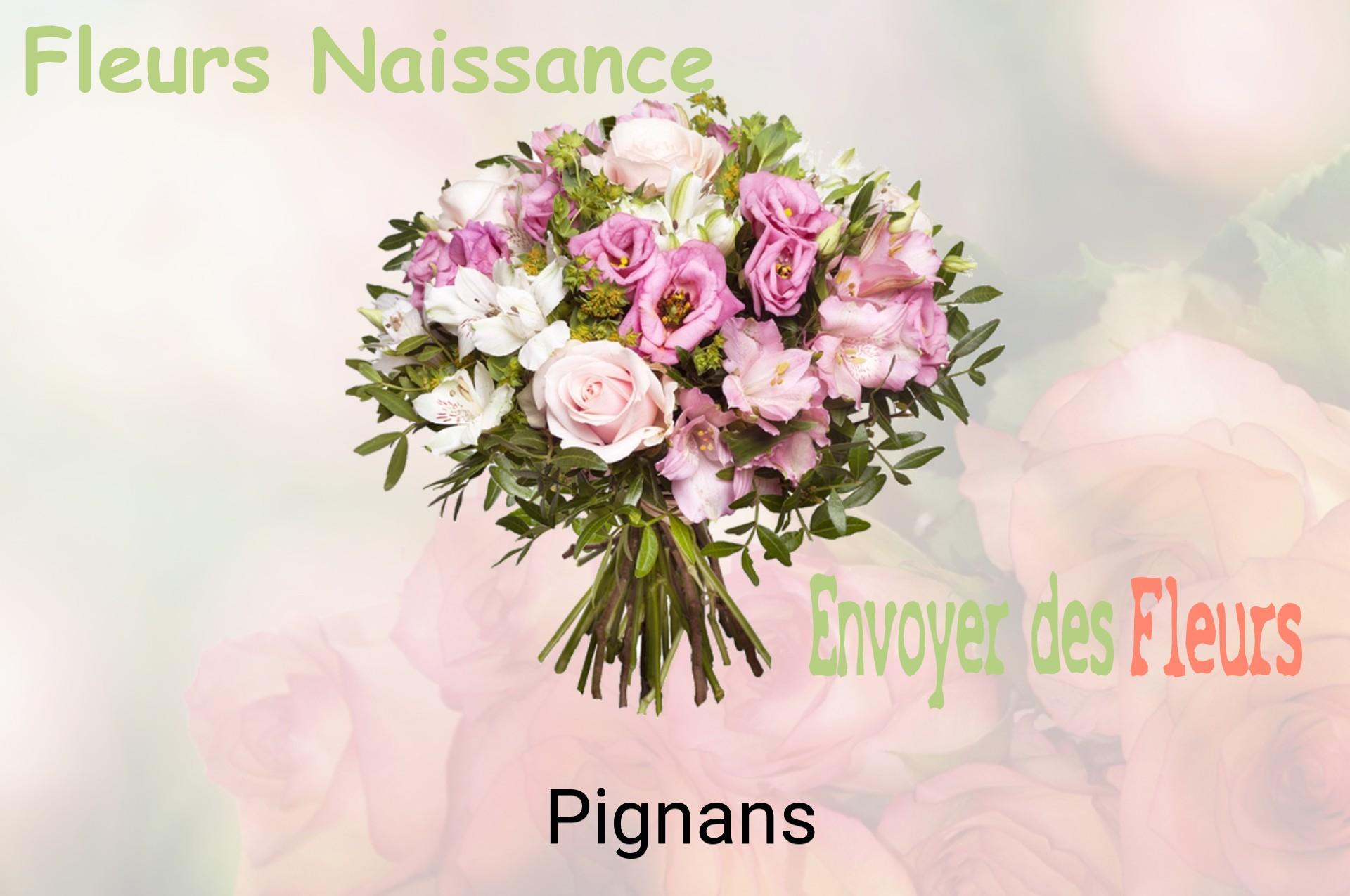 Bouquet de fleurs de naissance livré à Pignans